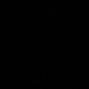 Meet your Posher, Reesa